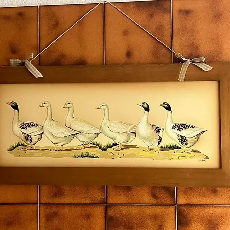 Maison Cime Bianche : Appartement